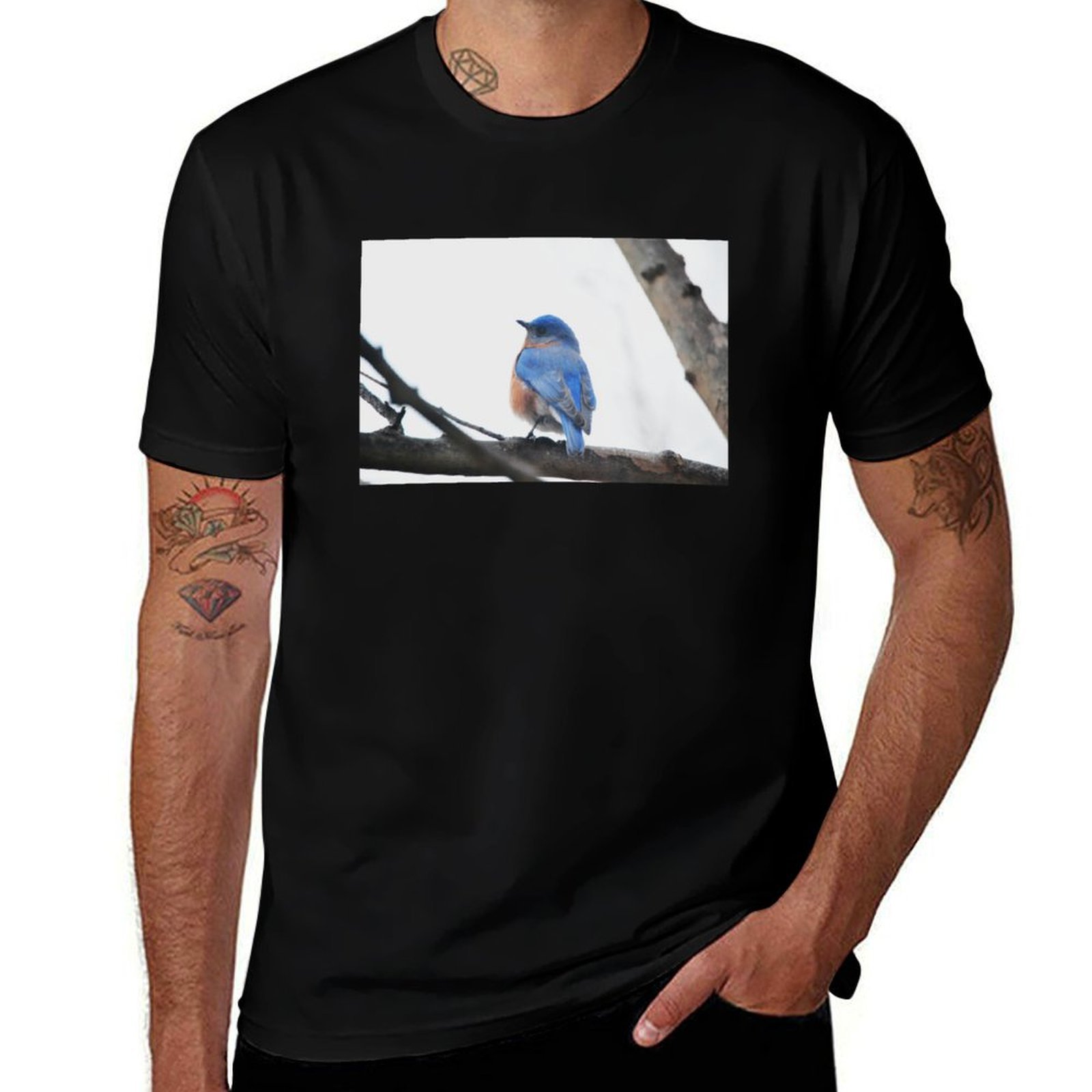 Photography Training - Mannelijke Eastern Bluebird T-shirt voor natuurfotografie,