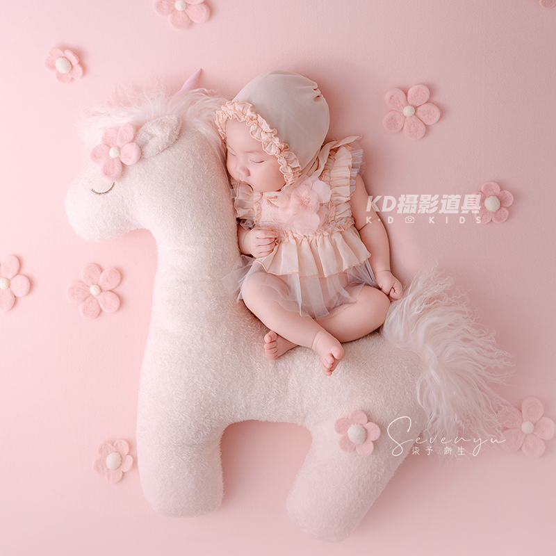 Schattig eenhoorn thema pasgeb - Photography Outfits recensie en prijs