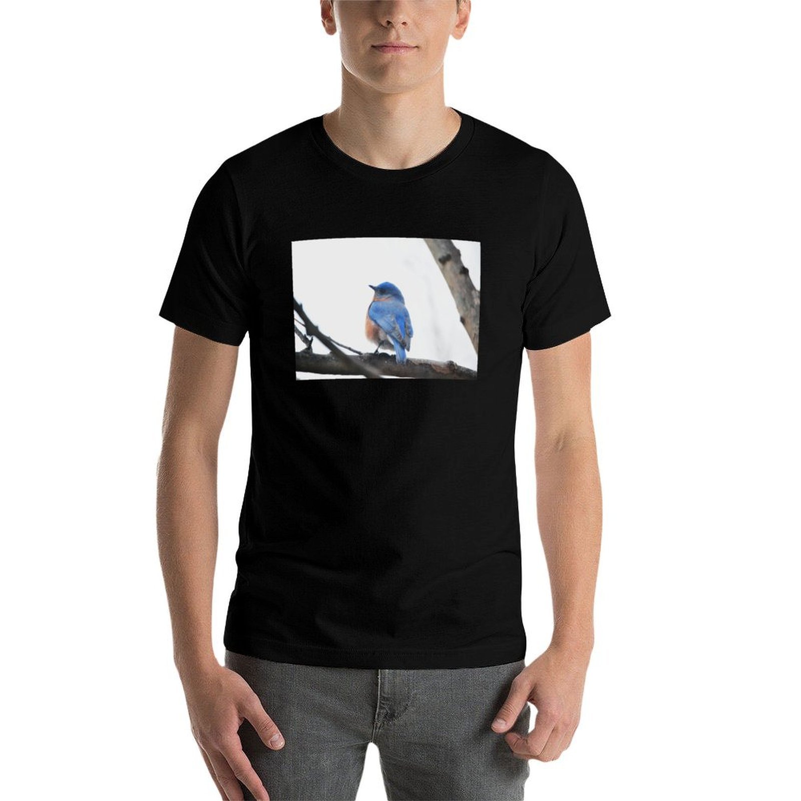 Mannelijke Eastern Bluebird T- - Photography Training recensie en prijs