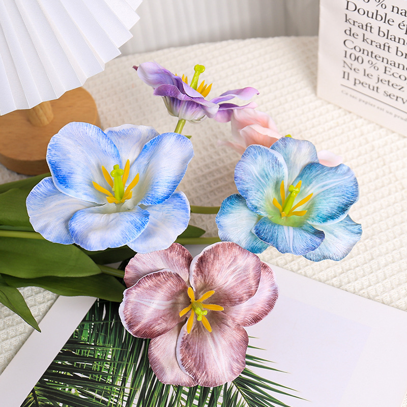 5pc 54cm Flip Tulp Gradiënt Ve - Photography Wedding recensie en prijs
